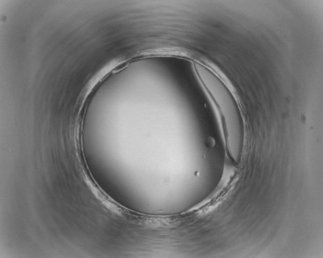 X0000081560909200702051146