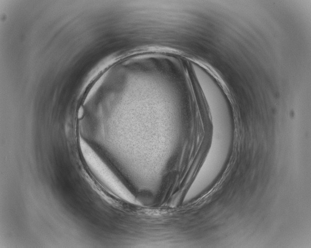 X0000081560910200702051146