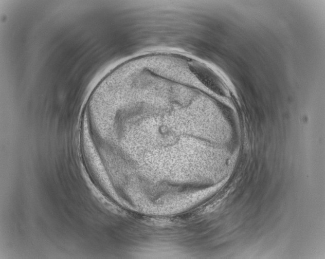 X0000081560911200702051146