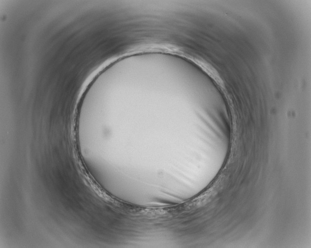 X0000081560912200702051146