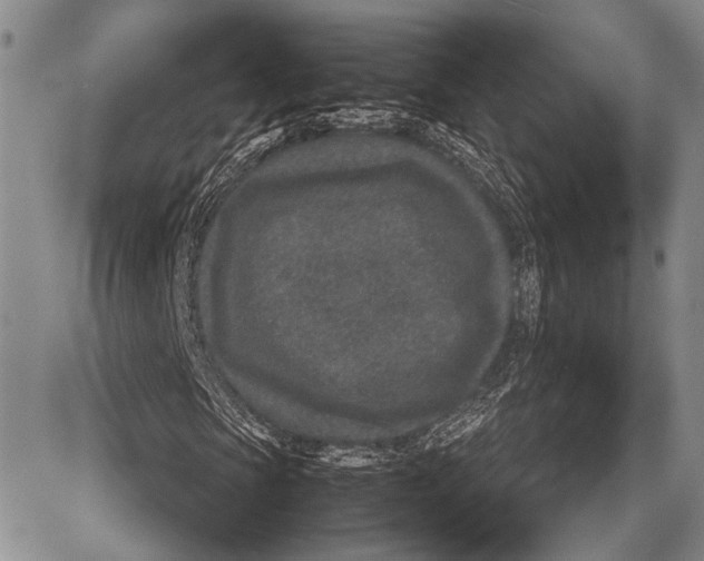 X0000081560913200702051145