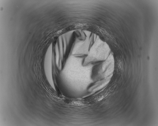 X0000081560914200702051145