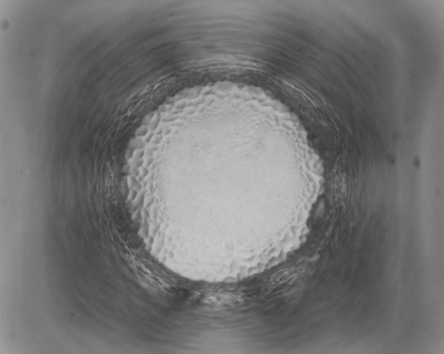 X0000081560917200702051145