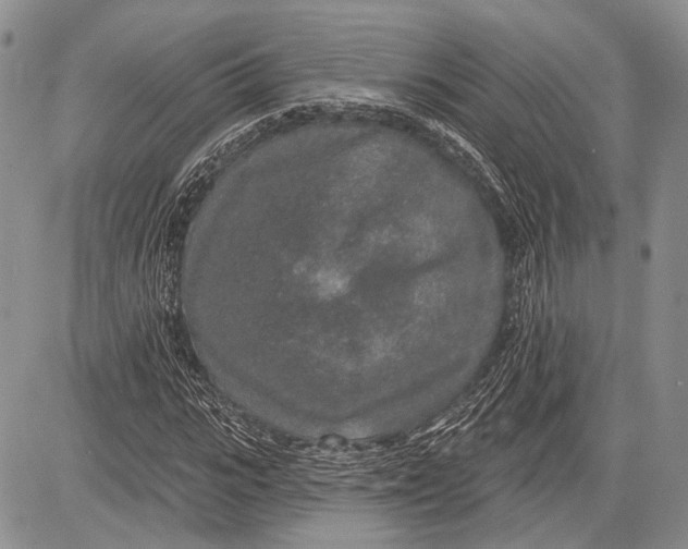 X0000081560919200702051145