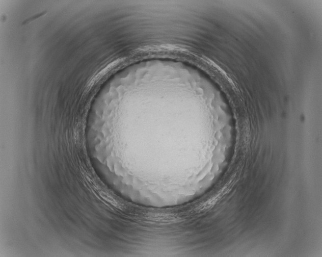 X0000081560921200702051145