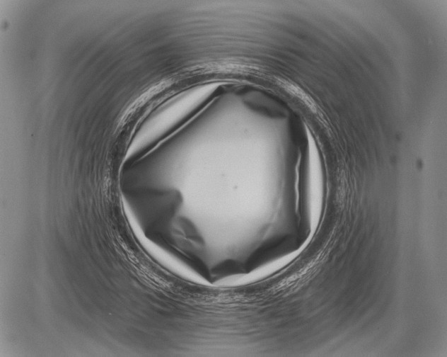 X0000081560922200702051145