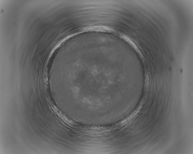 X0000081560923200702051145