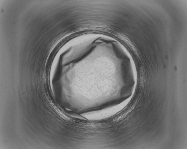 X0000081560924200702051145