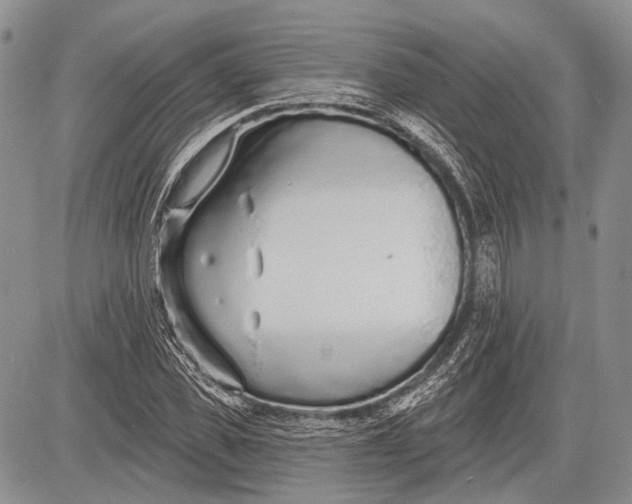 X0000081560925200702051145