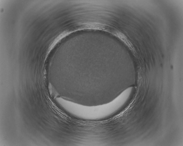 X0000081560926200702051145