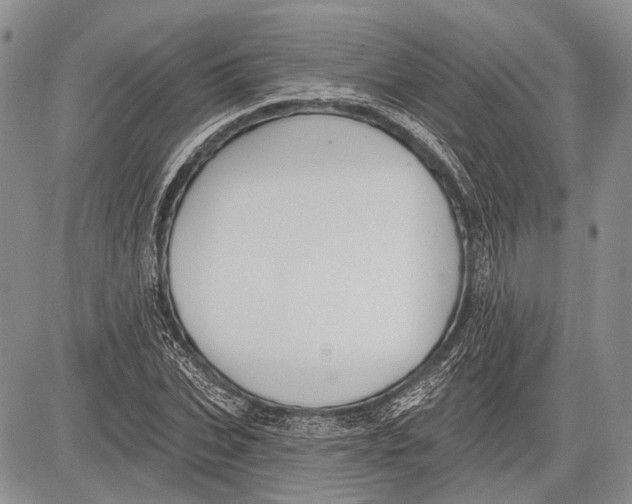 X0000081560927200702051145