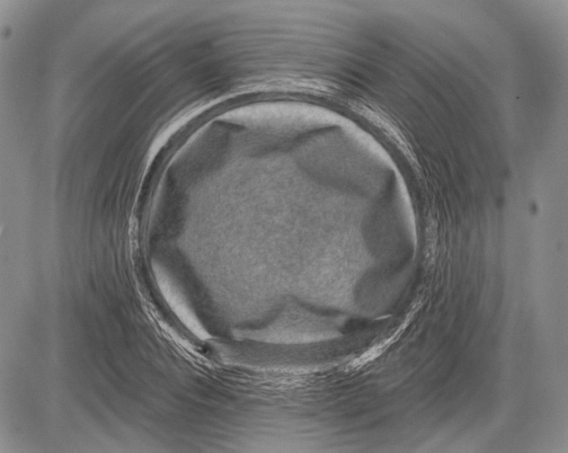 X0000081560928200702051145