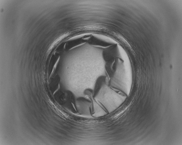 X0000081560930200702051145