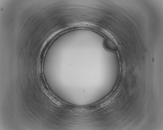 X0000081560931200702051145