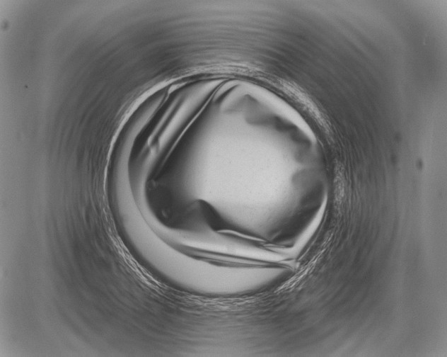 X0000081560932200702051145