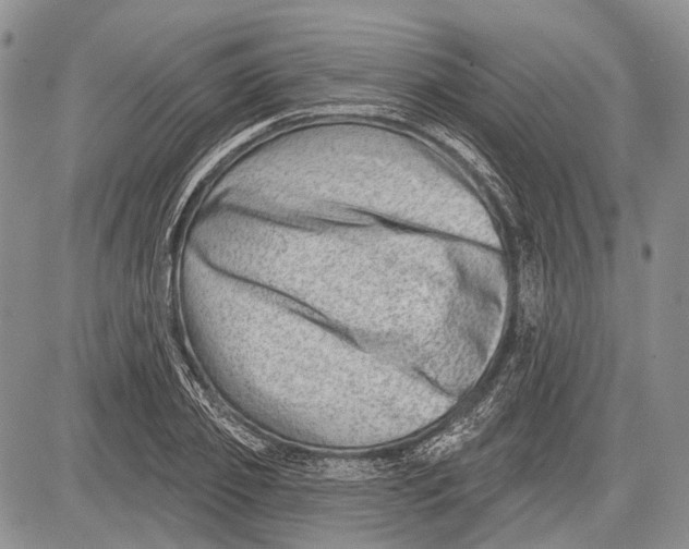 X0000081560933200702051145