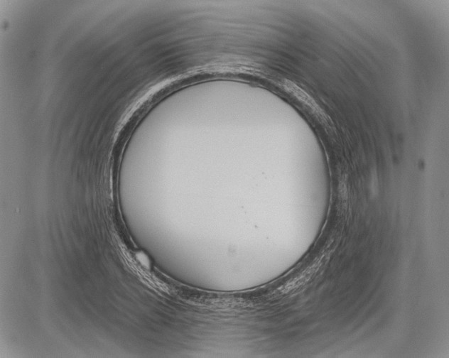 X0000081560934200702051145