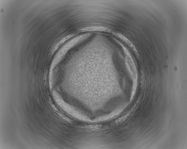 X0000081560937200702051145