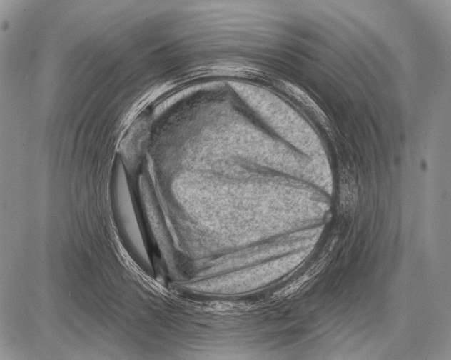 X0000081560938200702051145