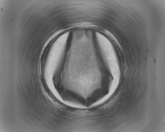 X0000081560939200702051146