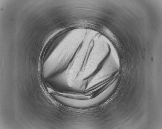 X0000081560940200702051146