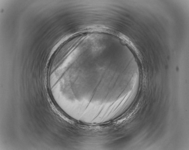 X0000081560941200702051146