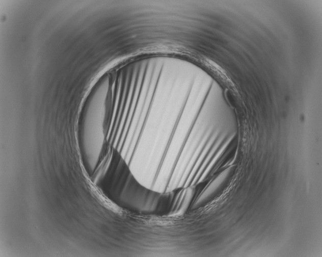 X0000081560942200702051146