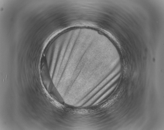 X0000081560943200702051146