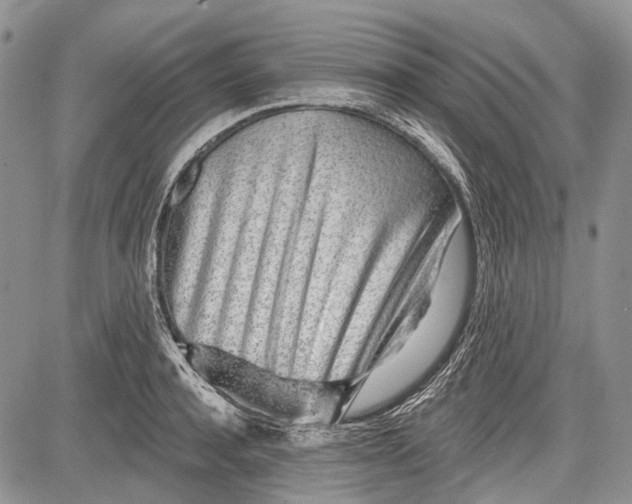 X0000081560944200702051146