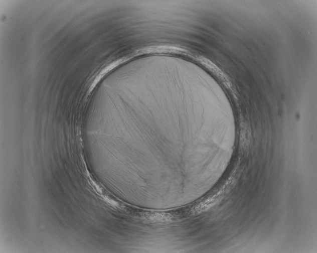 X0000081560945200702051146