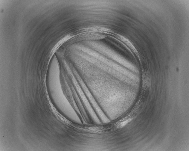 X0000081560946200702051146