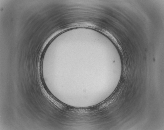 X0000081560947200702051146