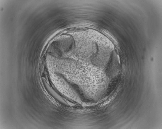 X0000081560948200702051146