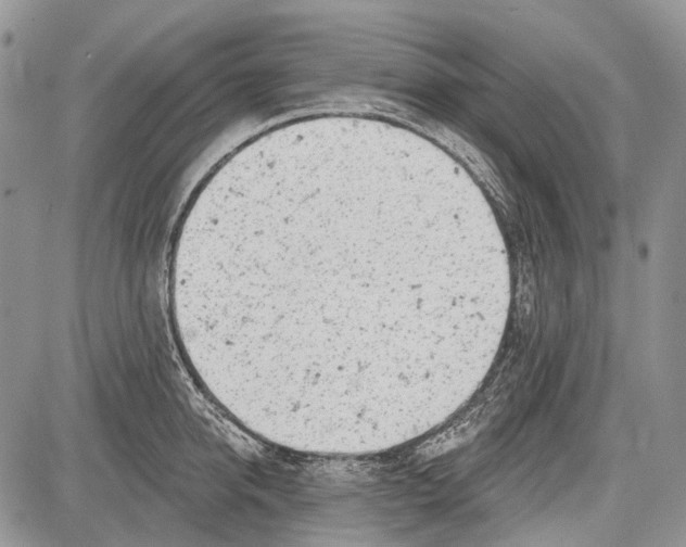 X0000081560950200702051146