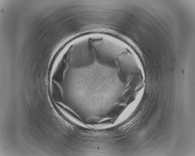 X0000081560951200702051146