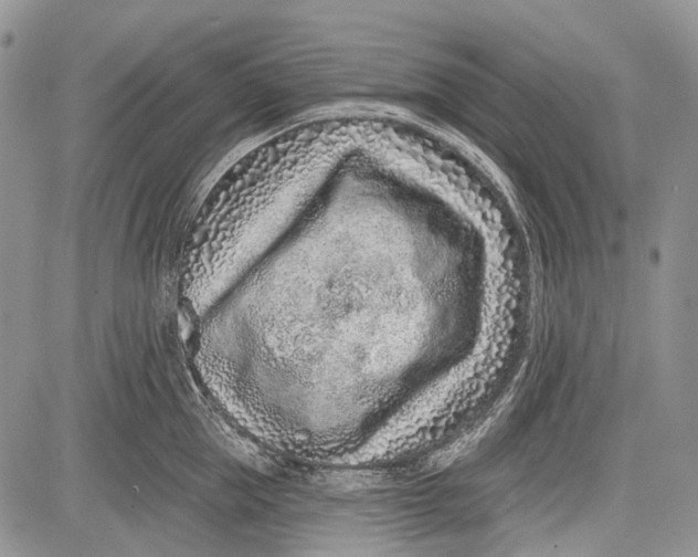 X0000081560953200702051146