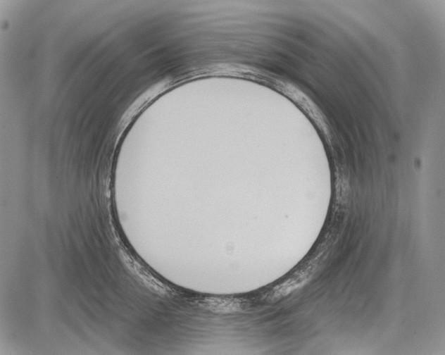 X0000081560954200702051146