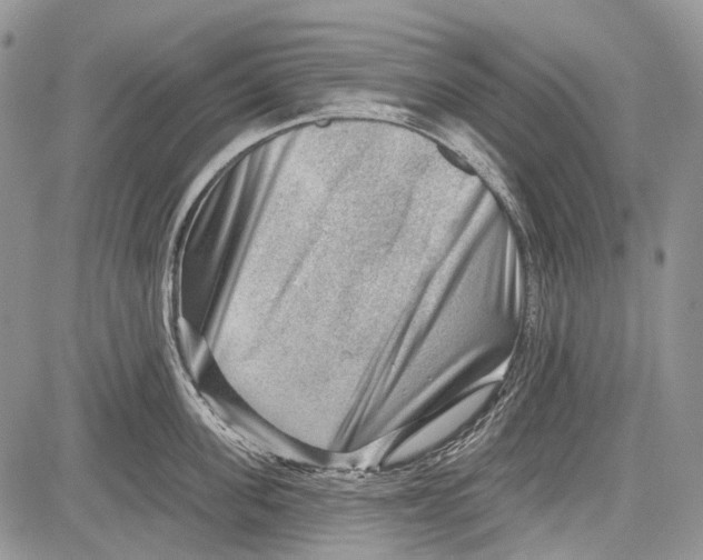 X0000081560955200702051146