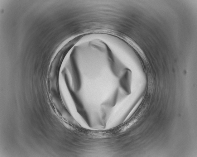 X0000081560956200702051146