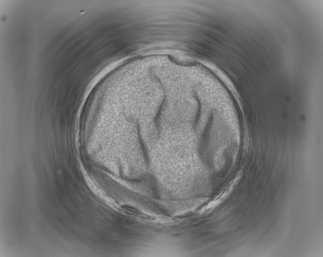 X0000081560957200702051146