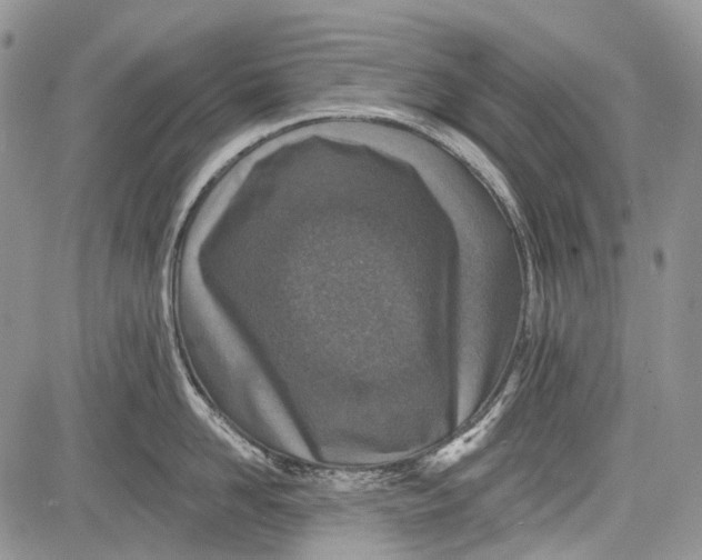 X0000081560958200702051146