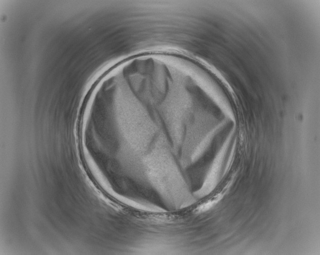 X0000081560959200702051146