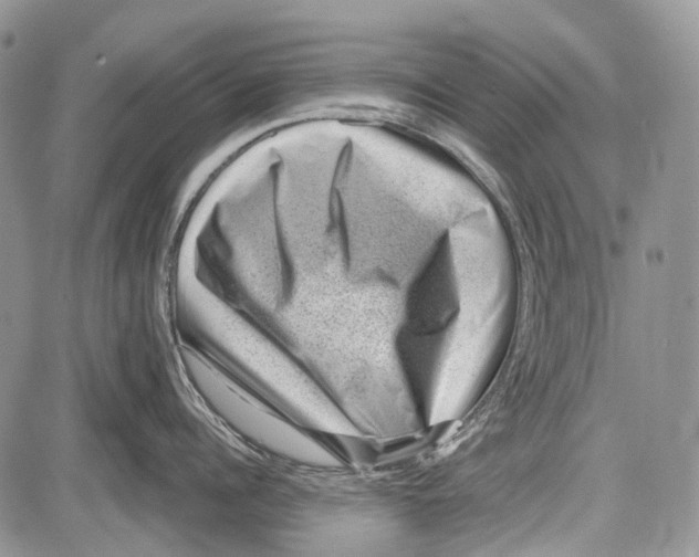 X0000081560960200702051146