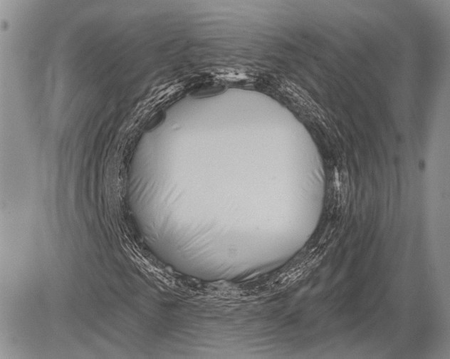 X0000081560961200702051145