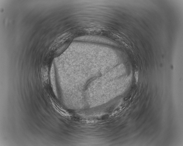 X0000081560963200702051145