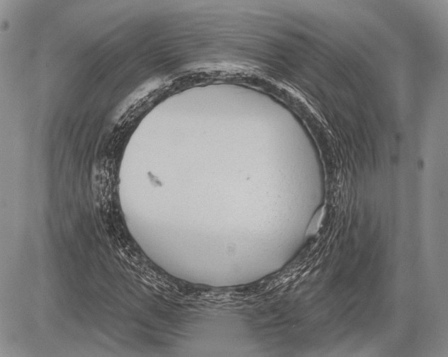 X0000081560967200702051145