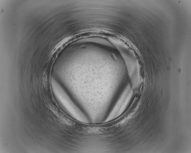 X0000081560969200702051145