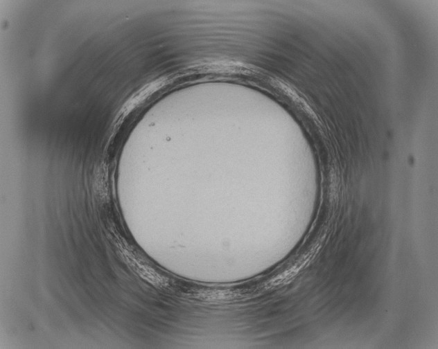 X0000081560970200702051145