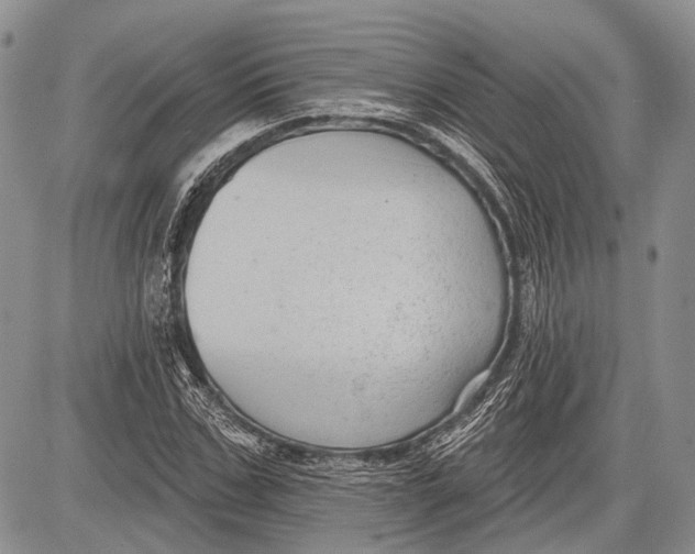 X0000081560971200702051145