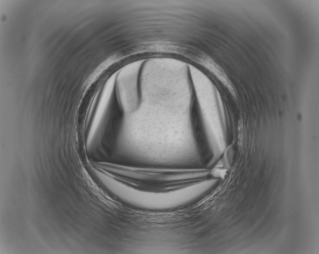 X0000081560972200702051145